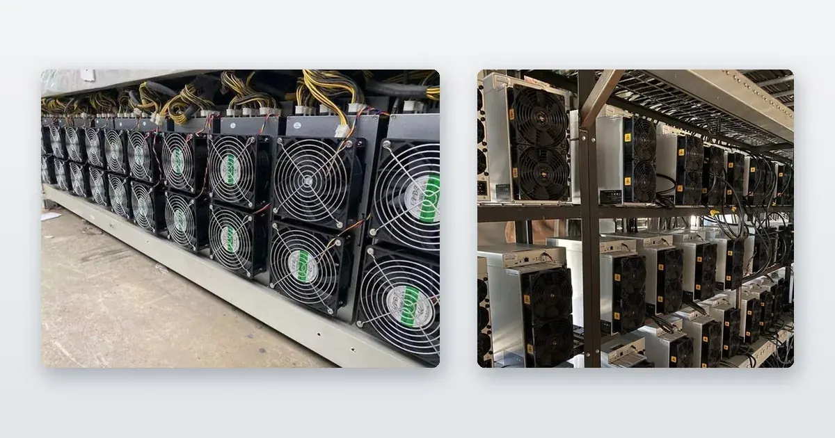 A long row of miners racked and running and Antminer S19s racked on steel shelving and running.