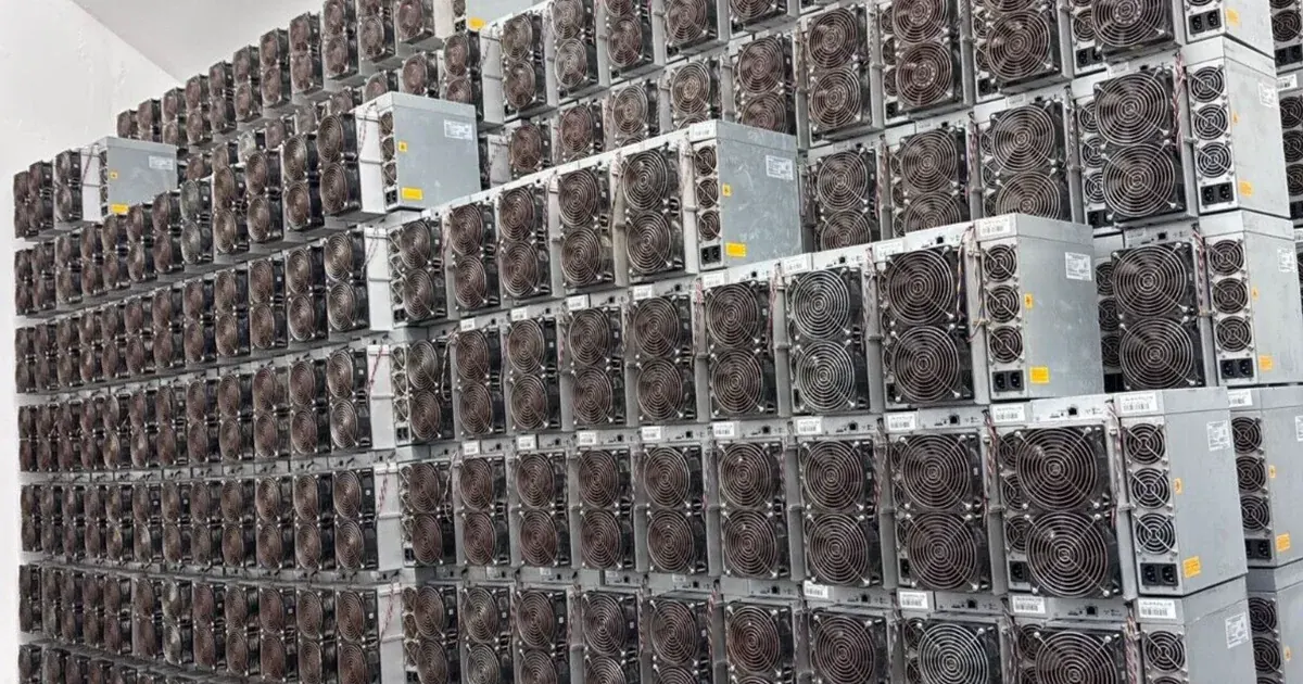 A wall of used Antminer S19s stacked on end indoors.