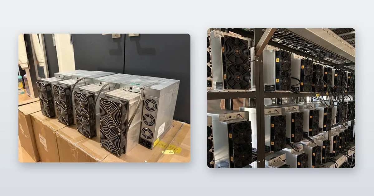 Miners staged on shipping crates in a warehouse and Antminer S19s racked on steel shelving and running.