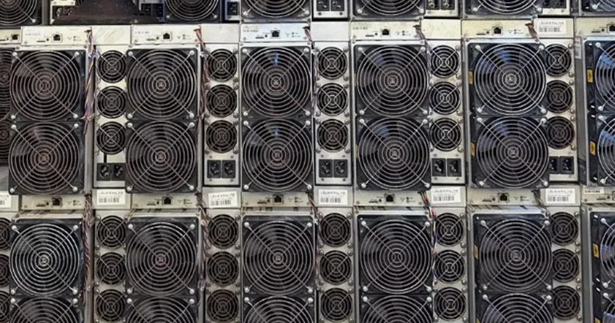 Used Antminer S19s stacked in a dense wall.