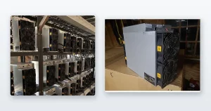 Antminer S19s racked on steel shelving and running and an Antminer S19-series miner set up and running in a room.