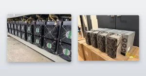 A long row of miners racked and running and miners staged on shipping crates in a warehouse.