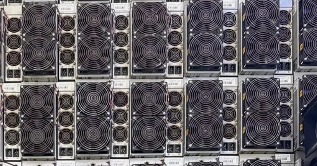 Used Antminer S19s stacked in a dense wall.