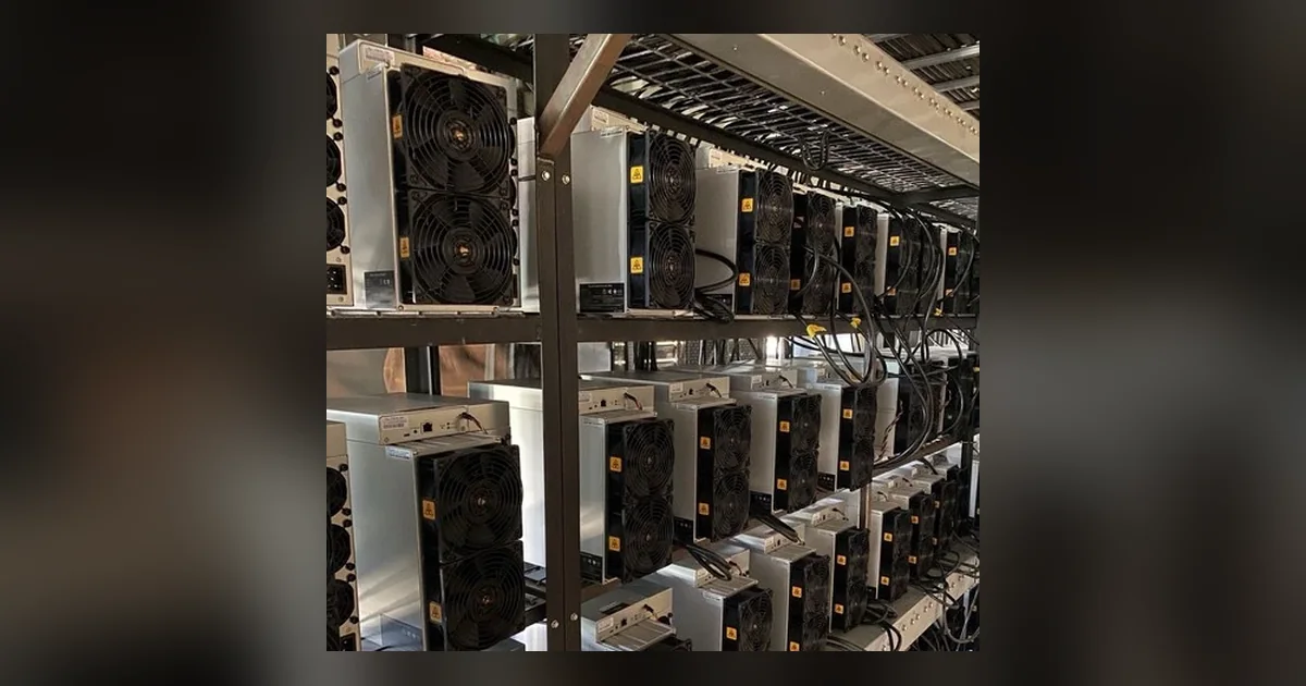 Rows of Antminer S19 units sitting on steel rack shelving in a mining room, cabling running along the front of each shelf.